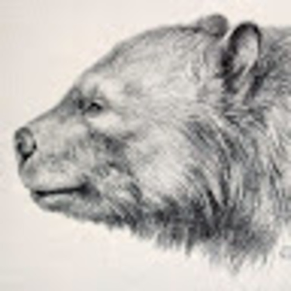 Meet your Posher, Prowler